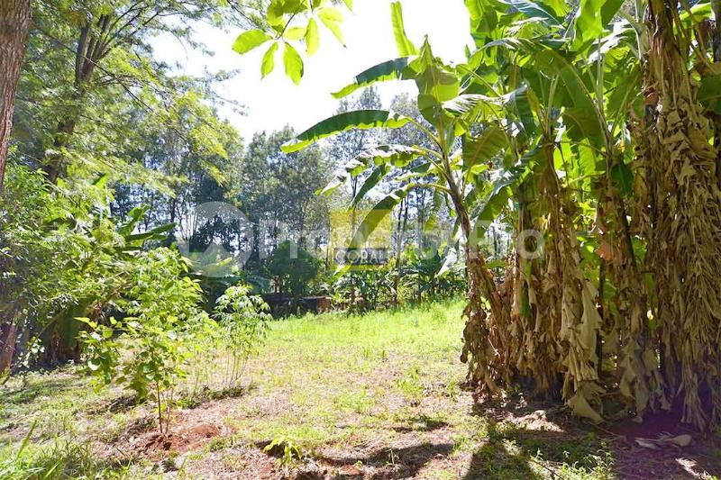 Land for sale Runda Nairobi - 0