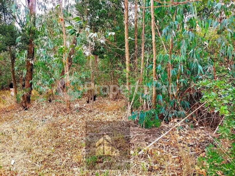 Land for sale Karen Nairobi