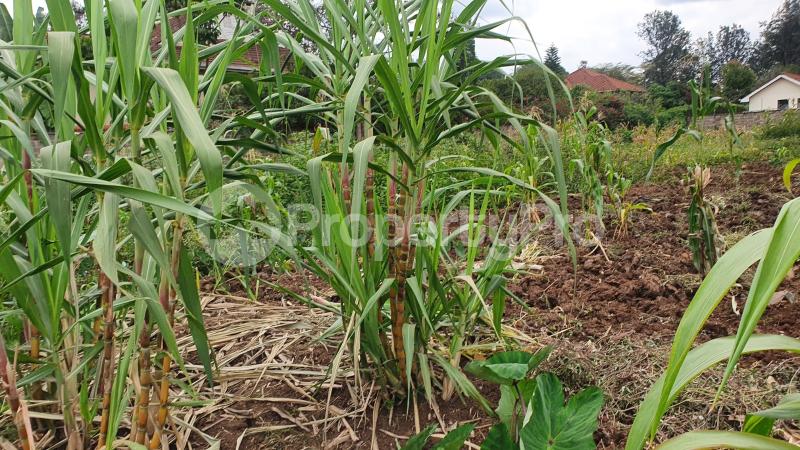 Land for sale Runda Nairobi