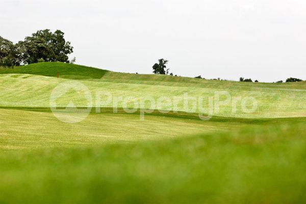 Land for sale Ruiru Kiambu