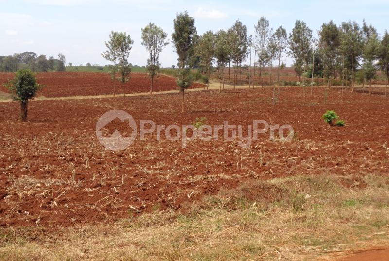 Land for sale Ruiru Kiambu
