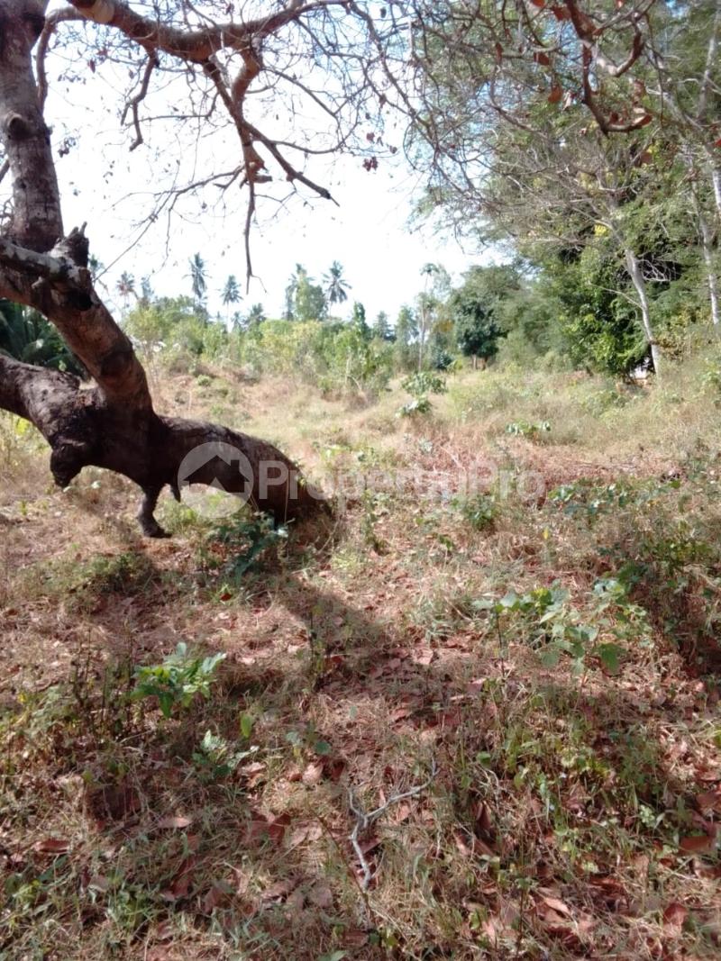 Agricultural Land for sale Msambweni Area Msambweni Kwale (PID 8APRA