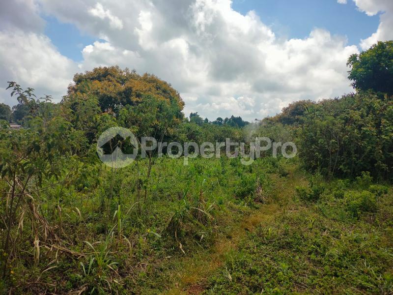 Land for sale Riara ridge Tigoni Limuru