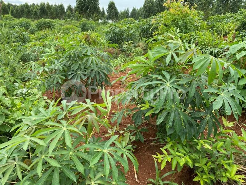 Land for sale Luwero bamugolode Luweero Central - 0