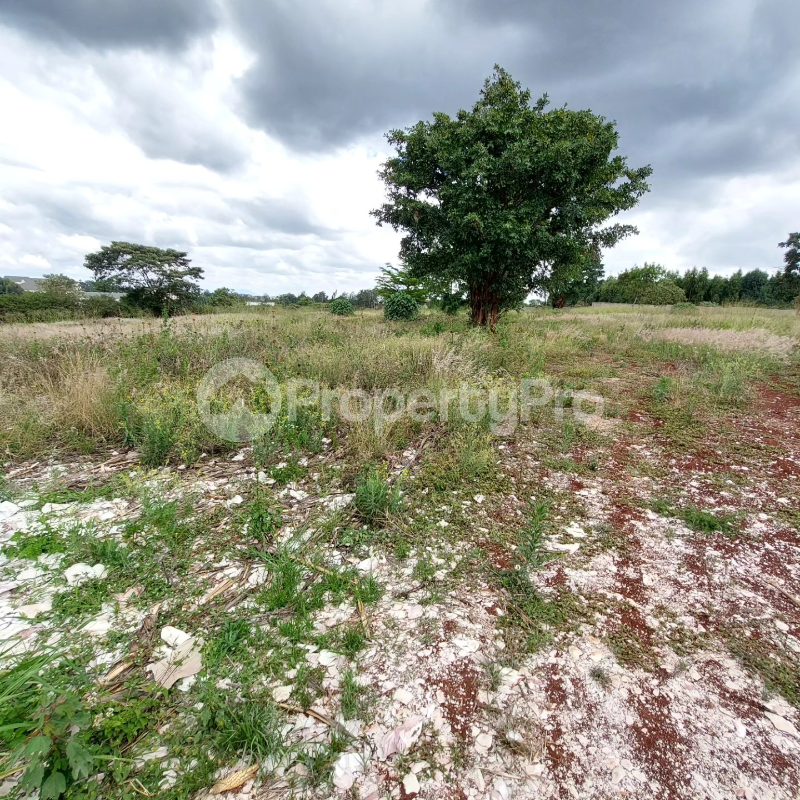 Land for sale Runda Nairobi