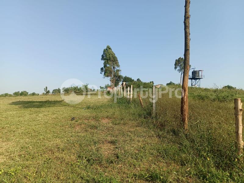 Land for sale Namugongo bukerere  Kampala Central Kampala Central - 3