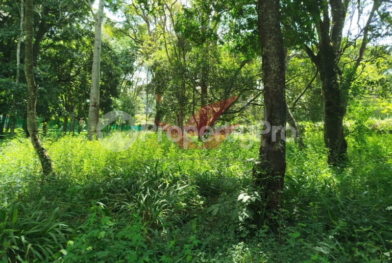 Land for sale Karen Nairobi