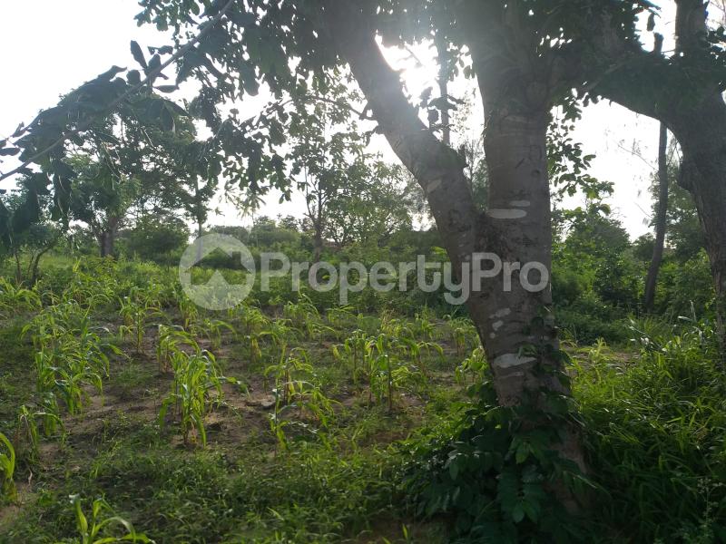 Land for sale Matuga Matuga Kwale - 1