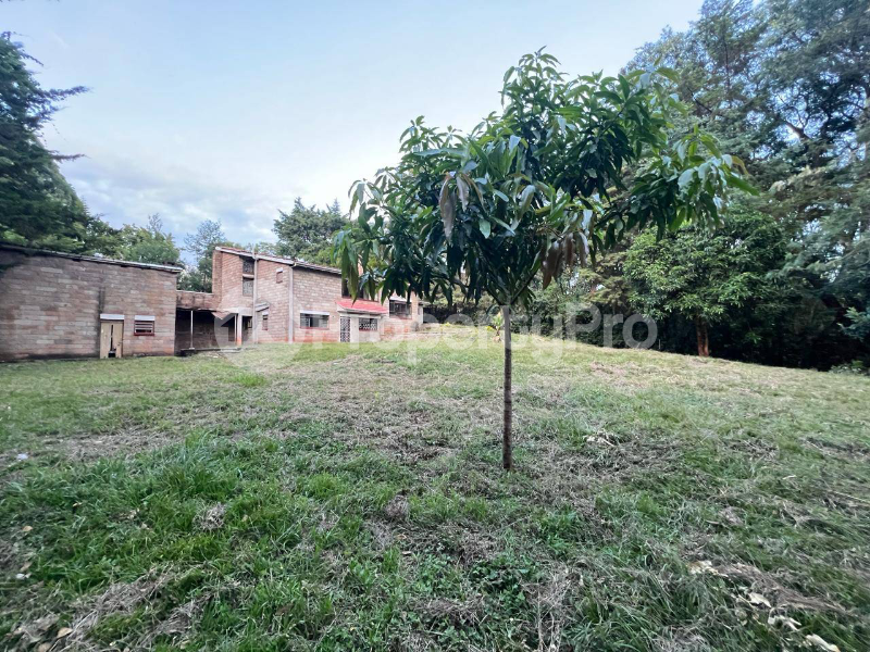 Land for sale Runda Nairobi