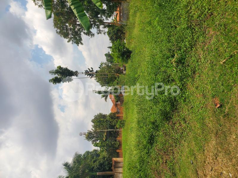 Land for rent Kulambiro mutuba police junction.  Nakawa Kampala Central - 4