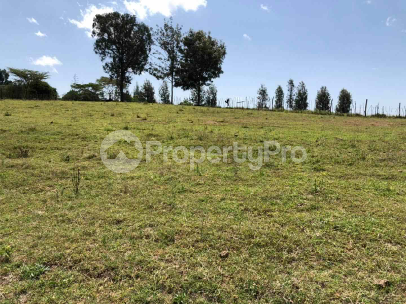 Land for sale Nanyuki Nanyuki