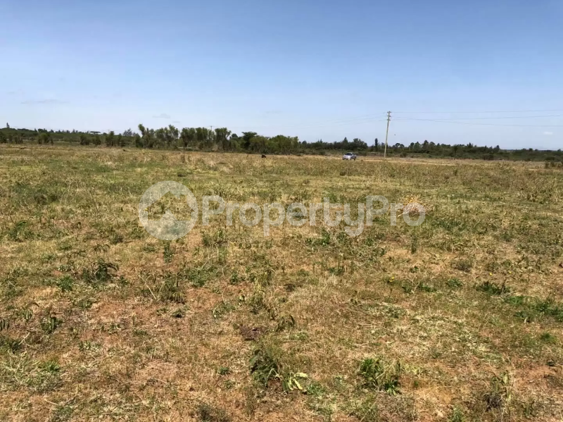 Land for sale Nanyuki Nanyuki