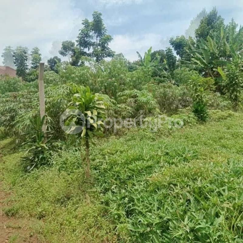 Land for sale Namugongo bukerere town Goma Mukono Central - 2