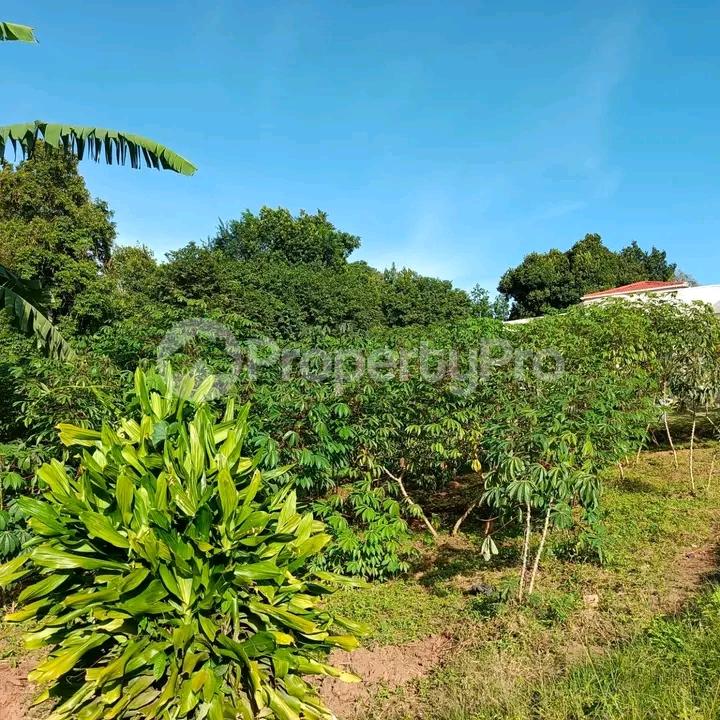 Land for sale Seeta namugongo  Kampala Central Kampala Central - 0