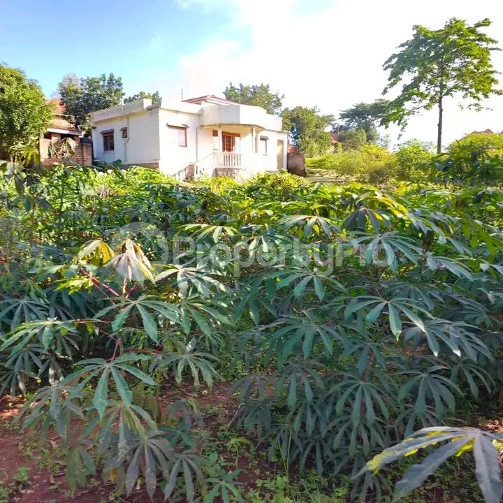 Land for sale Seeta namugongo  Kampala Central Kampala Central - 2