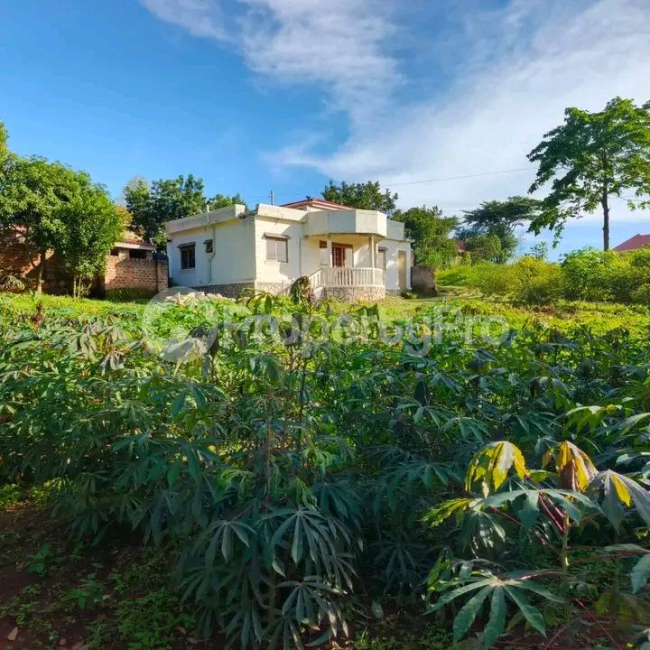 Land for sale Seeta namugongo  Kampala Central Kampala Central - 1