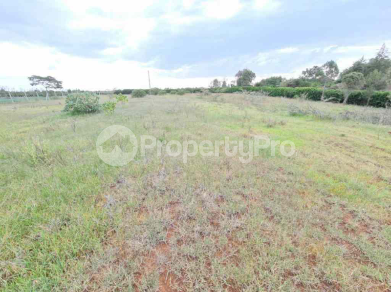 Land for sale Nanyuki Nanyuki