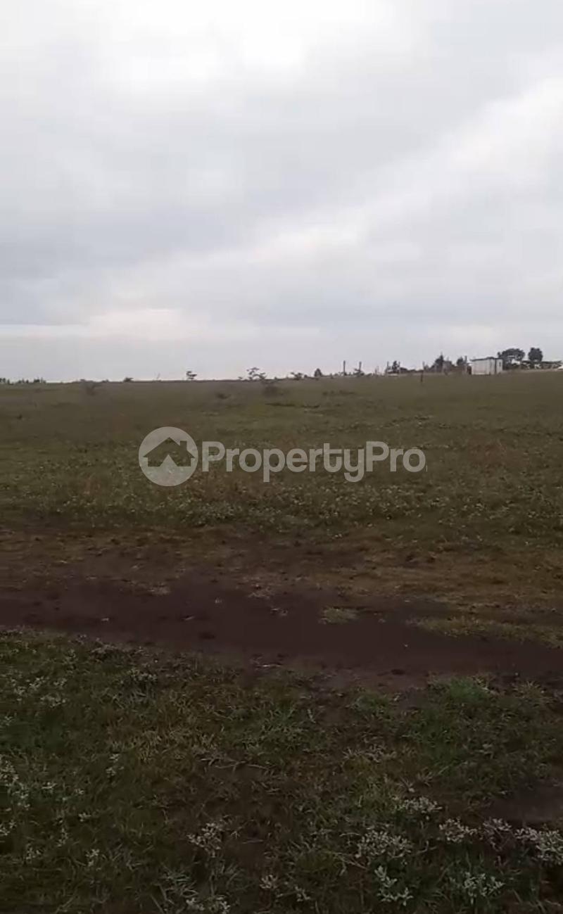 Land for sale Nanyuki Nanyuki
