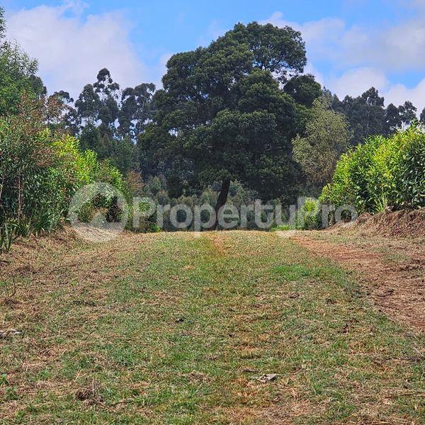 4 bedroom Townhouse for sale Tigoni Limuru