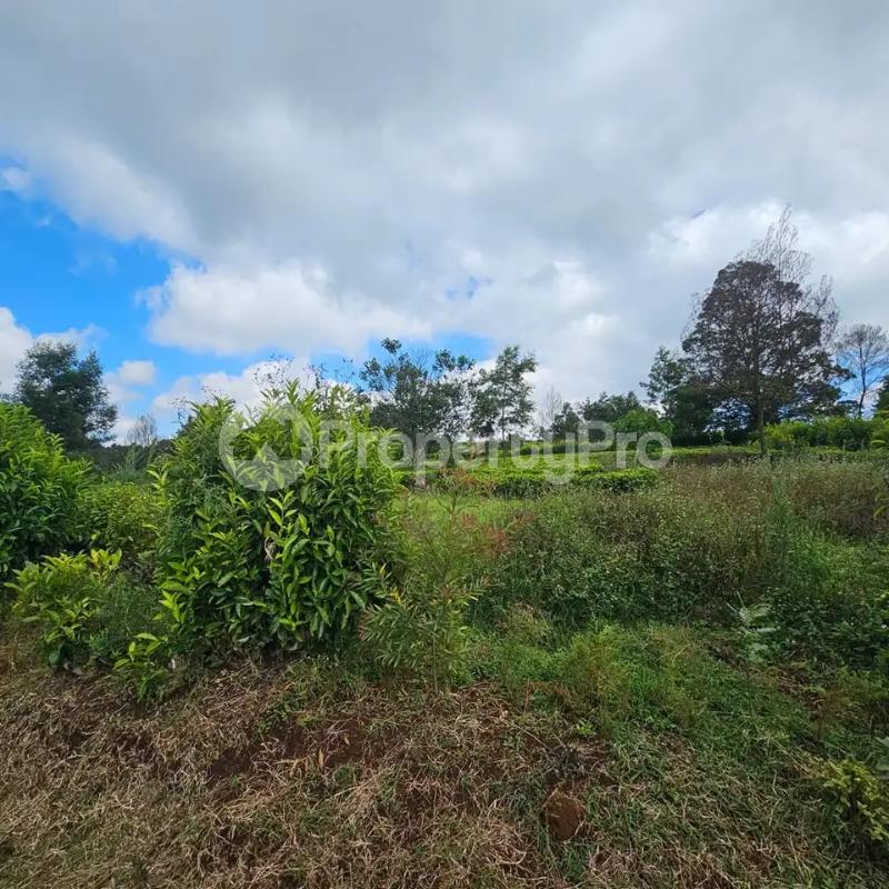 Land for sale Tigoni Limuru