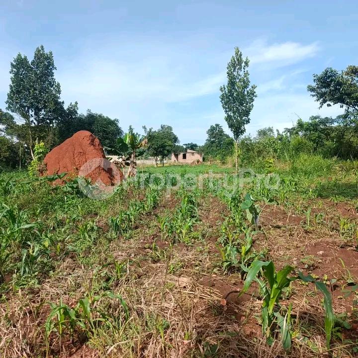 Land for sale Namugongo bukerere  Wakiso Central - 2