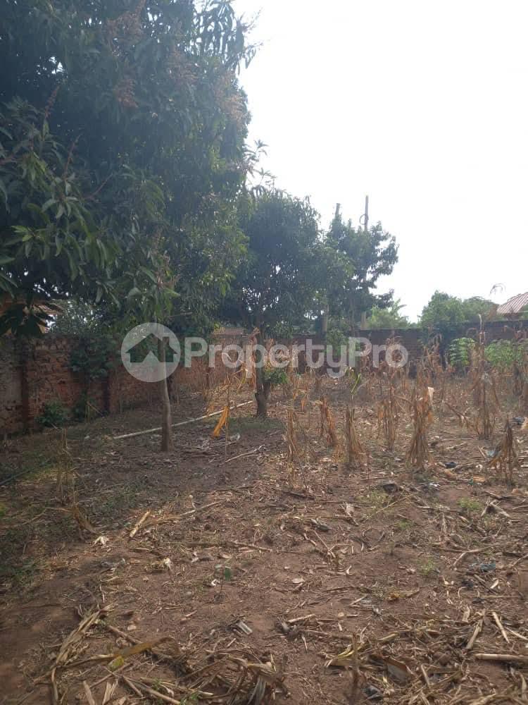 Land for sale Kasangati nangabo road  Gayaza Wakiso Central - 0