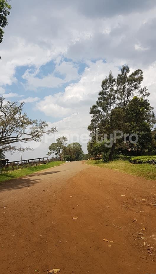 Land for sale Limuru, Tigoni Tigoni Limuru (PID 8ACBR) PropertyPro