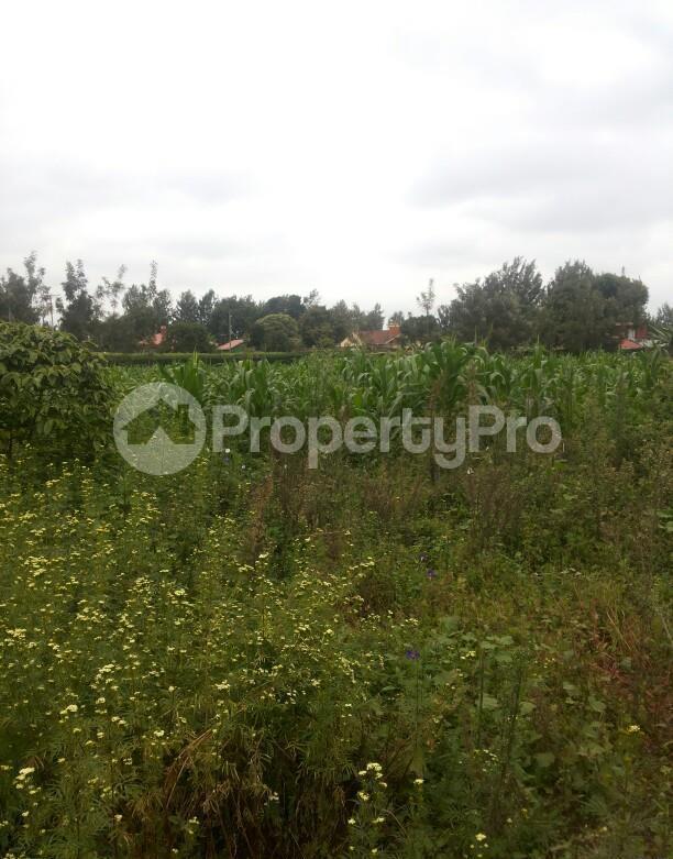 Land for sale Nairobi, Ruaka Ruaka Nairobi (PID 9ADDE) PropertyPro
