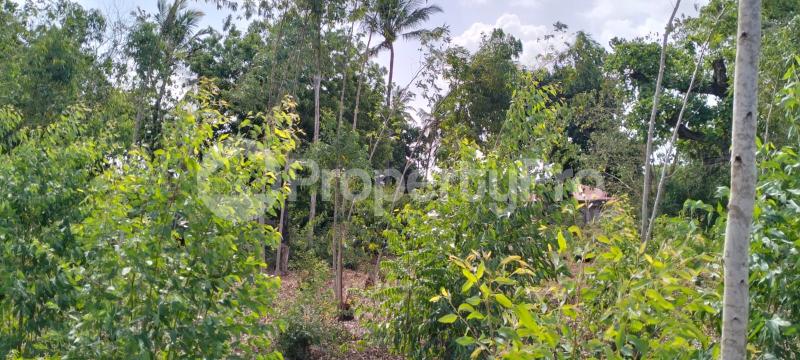 Land for sale Watamu Watamu