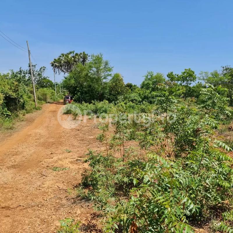 Land for sale Diani Mombasa