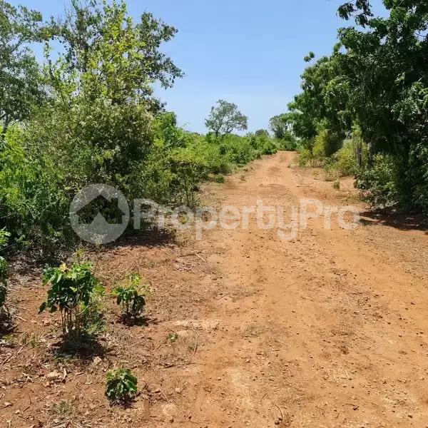 Land for sale Diani Mombasa