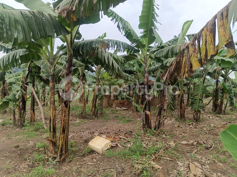 Land for sale Namugongo nabusugwe  Kampala Central Kampala Central - 3