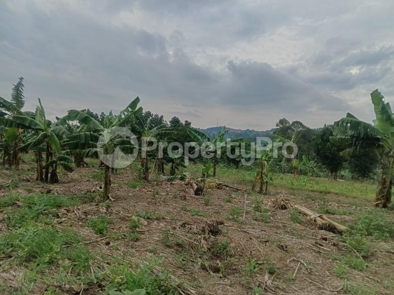 Land for sale Namugongo nabusugwe  Kampala Central Kampala Central - 1