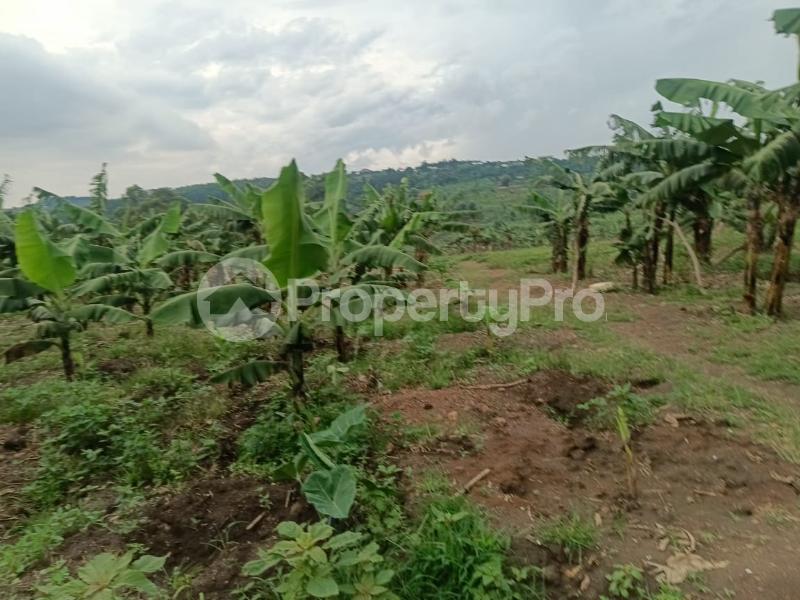 Land for sale Namugongo nabusugwe  Kampala Central Kampala Central - 4