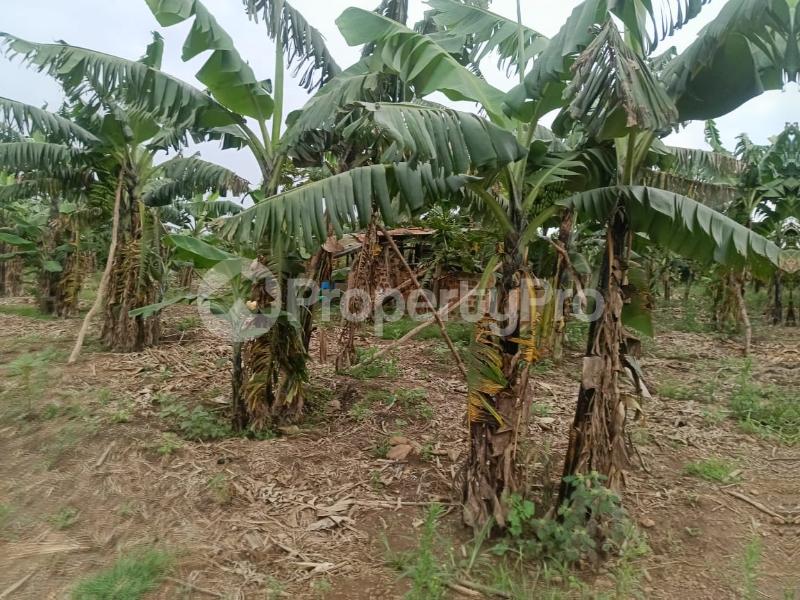 Land for sale Namugongo nabusugwe  Kampala Central Kampala Central - 2