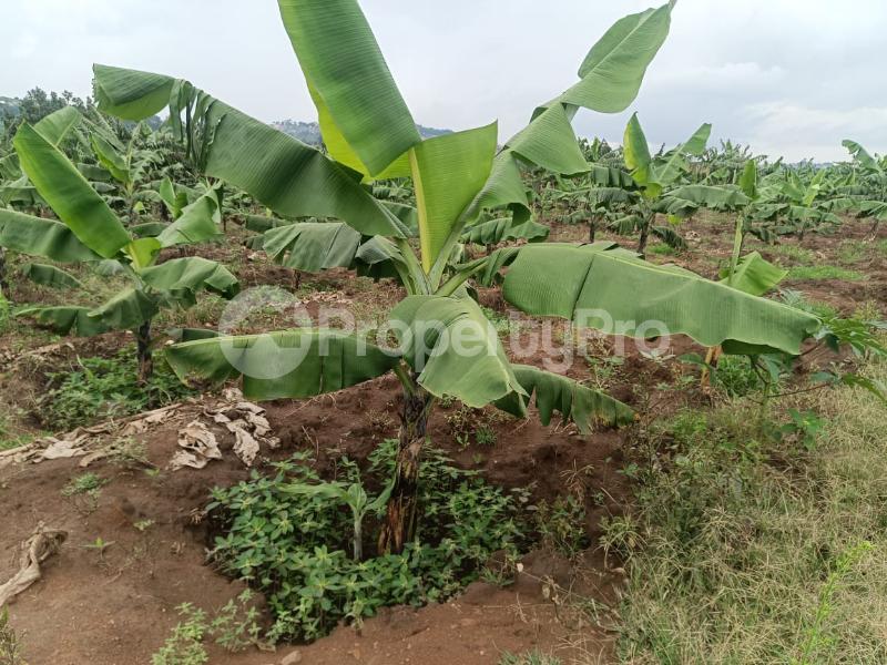 Land for sale Namugongo nabusugwe  Kampala Central Kampala Central - 0