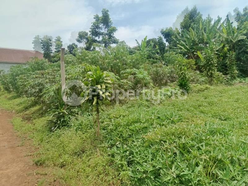 Land for sale Namugongo road  Wakiso Central - 4