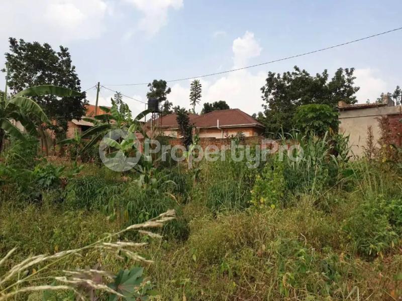 Land for sale Sonde hillview  Goma Mukono Central - 2