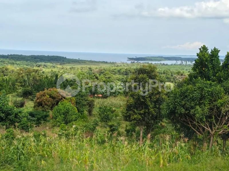 Land for sale Ngombere katosi road  Buikwe Central - 2