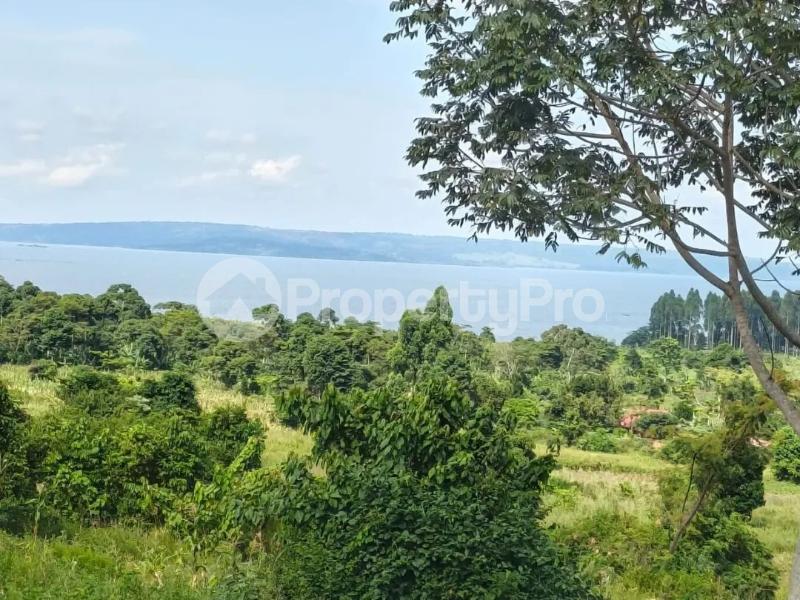 Land for sale Ngombere katosi road  Buikwe Central - 0