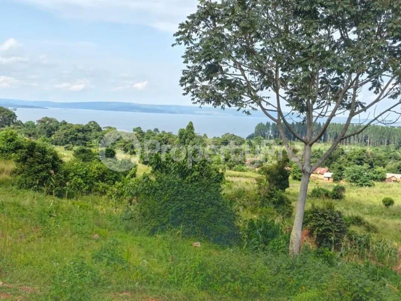 Land for sale Ngombere katosi road  Buikwe Central - 1