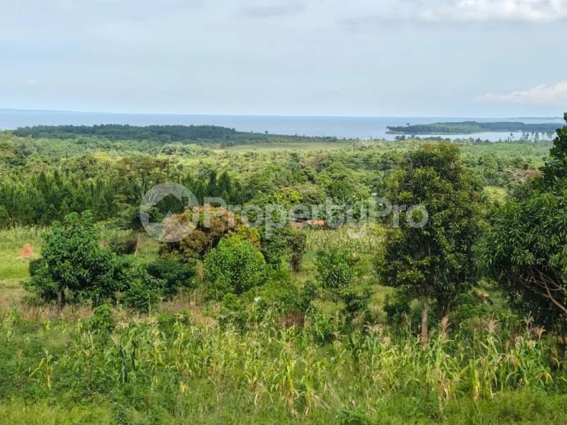 Land for sale Ngombere katosi road  Buikwe Central - 3