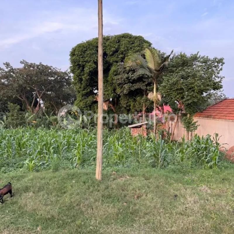 Land for sale Kira nsasa Kira Wakiso Central - 3