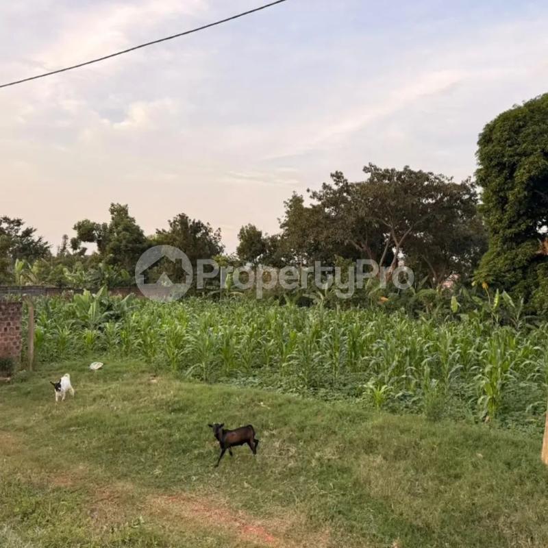 Land for sale Kira nsasa Kira Wakiso Central - 2
