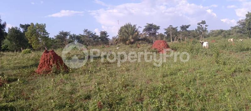 Land for sale Zirobwe wabitungulu  Luweero Central - 0