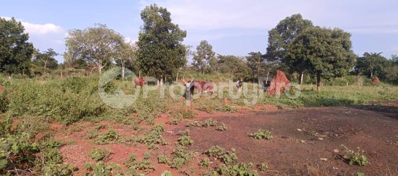 Land for sale Zirobwe wabitungulu  Luweero Central - 3