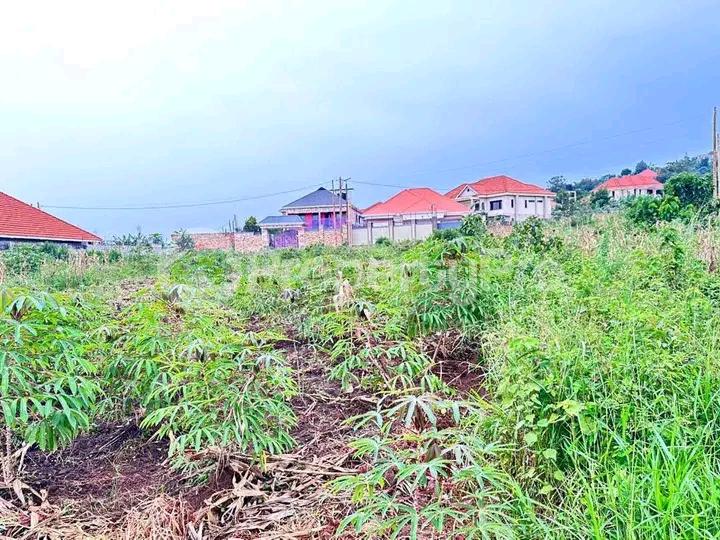 Land for sale Kira  Kampala Central Kampala Central - 0