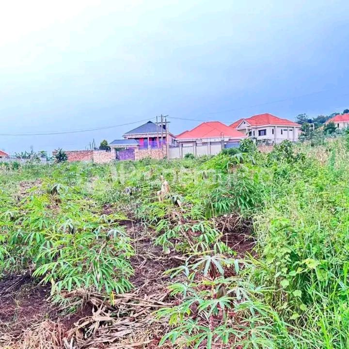 Land for sale Kira  Kampala Central Kampala Central - 3