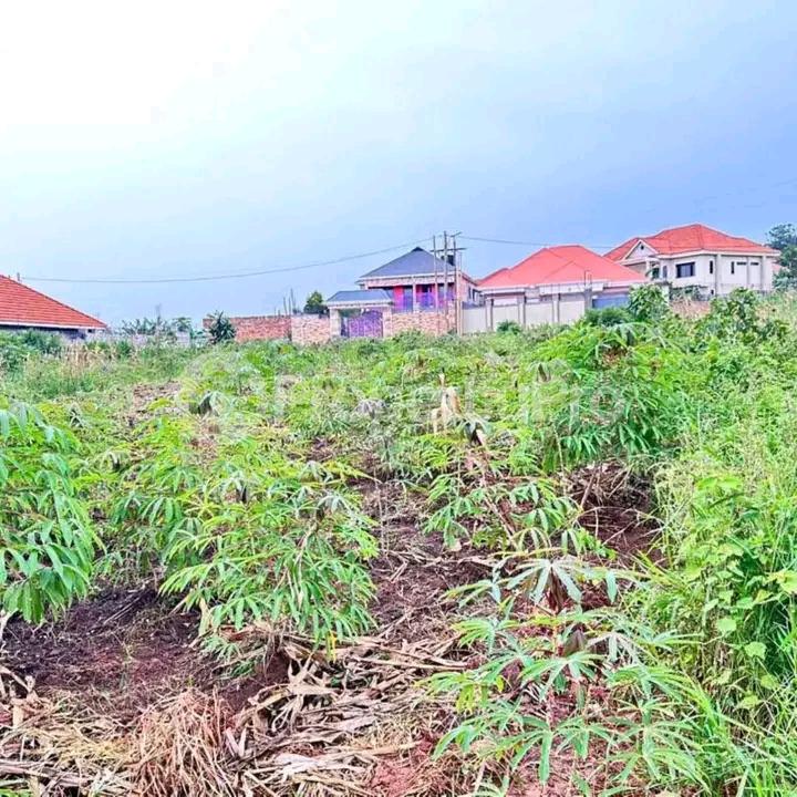 Land for sale Kira  Kampala Central Kampala Central - 5