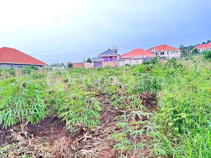Land for sale Kira  Kampala Central Kampala Central - 1
